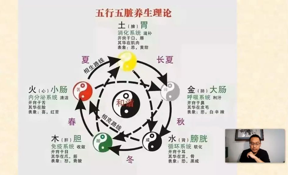 九种体质养生(四)五行分析法—— 薛洪亮-薛洪亮-薛洪亮-哔哩哔哩视频