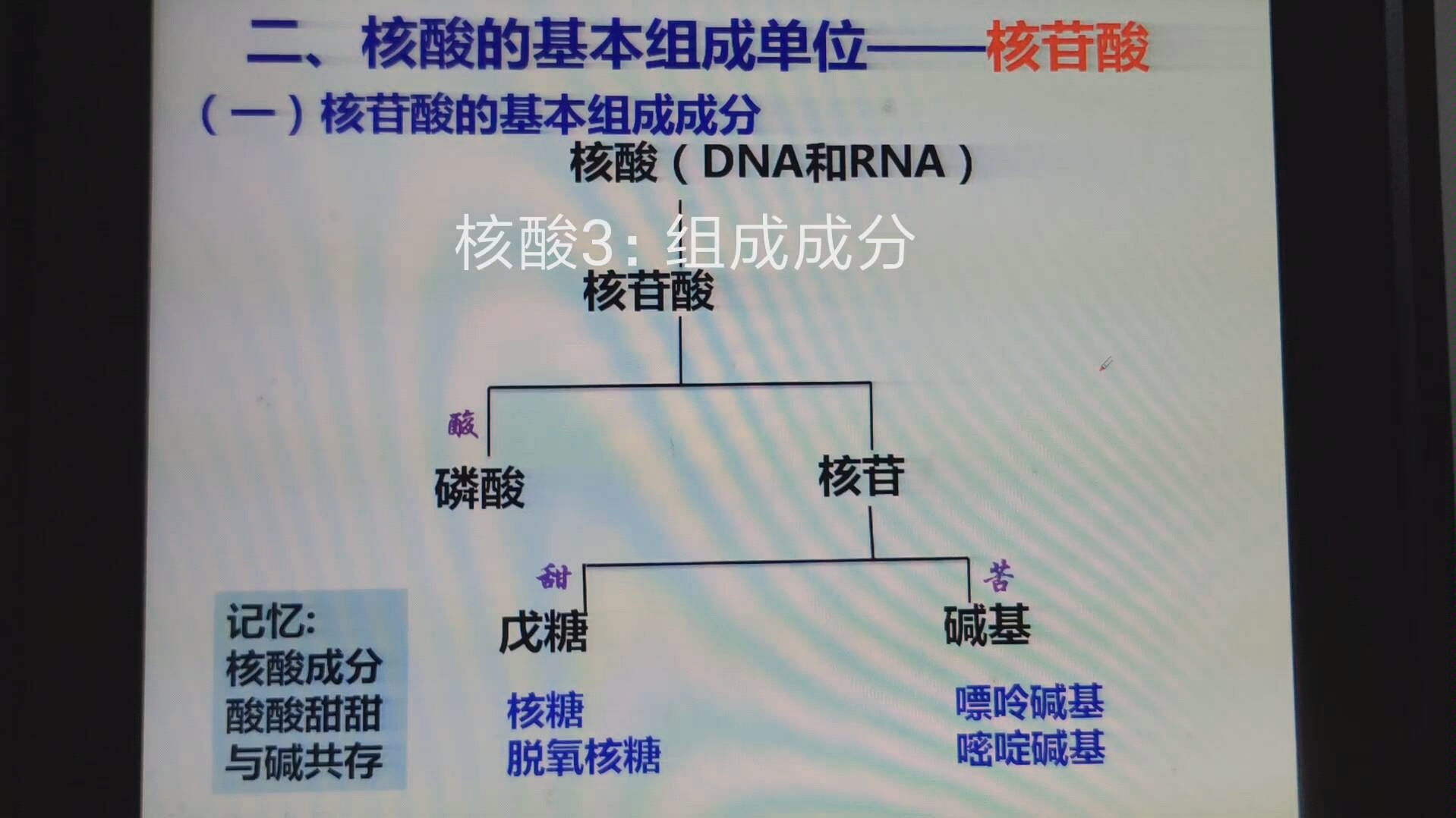 核酸3:组成成分哔哩哔哩bilibili