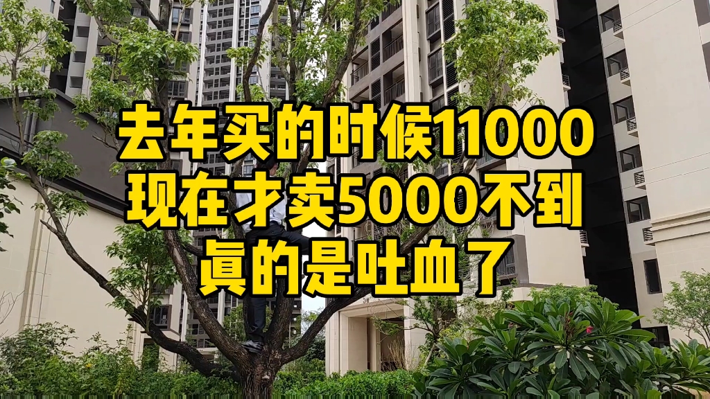 今天过来收楼,去年1万多好不容易在佛山买了套房,现在销售跟我说4800都有,我该怎么办?哔哩哔哩bilibili