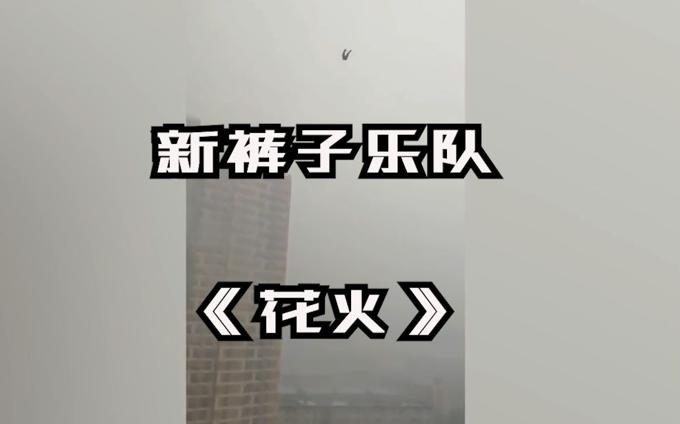 新裤子乐队花火