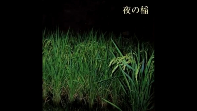 [图]【迷幻/实验/民谣/日本】Reiko Kudo (工藤礼子) - 夜の稲 (Rice Field Silently Riping In The Night)