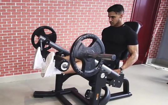 坐姿腿屈伸 B站