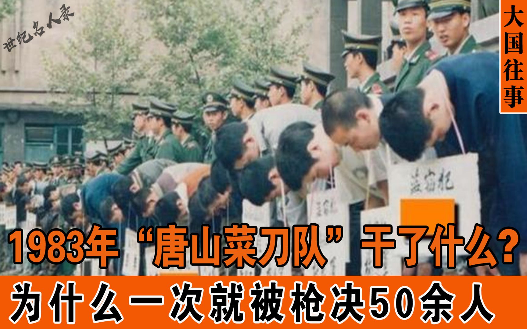 1983年,唐山“菜刀队”干了什么?为何一次就被枪决50余人?哔哩哔哩bilibili