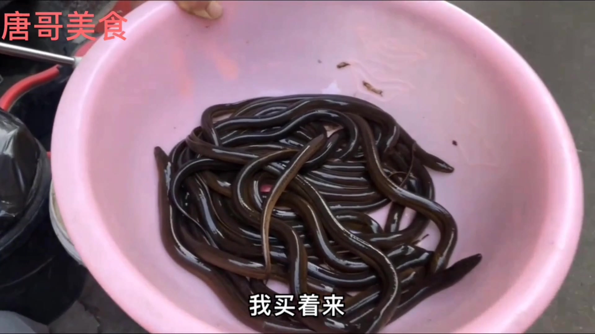 安徽定远30元一斤笔杆黄鳝配咸肉烧,喝高度酒快活!