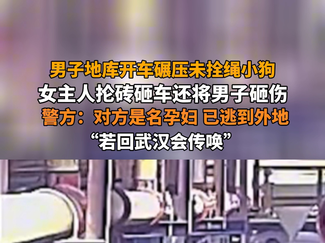 7月23日报道 湖北武汉 #未拴绳狗遭碾压女主人砸车打人 男子地库开车碾压未拴绳小狗,女主人抡砖砸车还将男子砸伤.警方:对方是名孕妇,已逃到外地,...