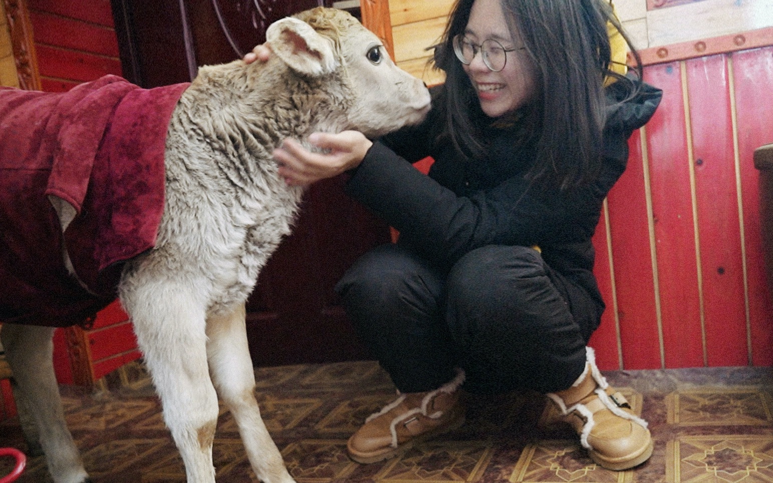 [图]零下30度，我住进了冬牧场