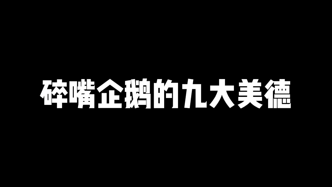 【碎嘴企鹅】碎嘴企鹅的九大美德哔哩哔哩bilibili