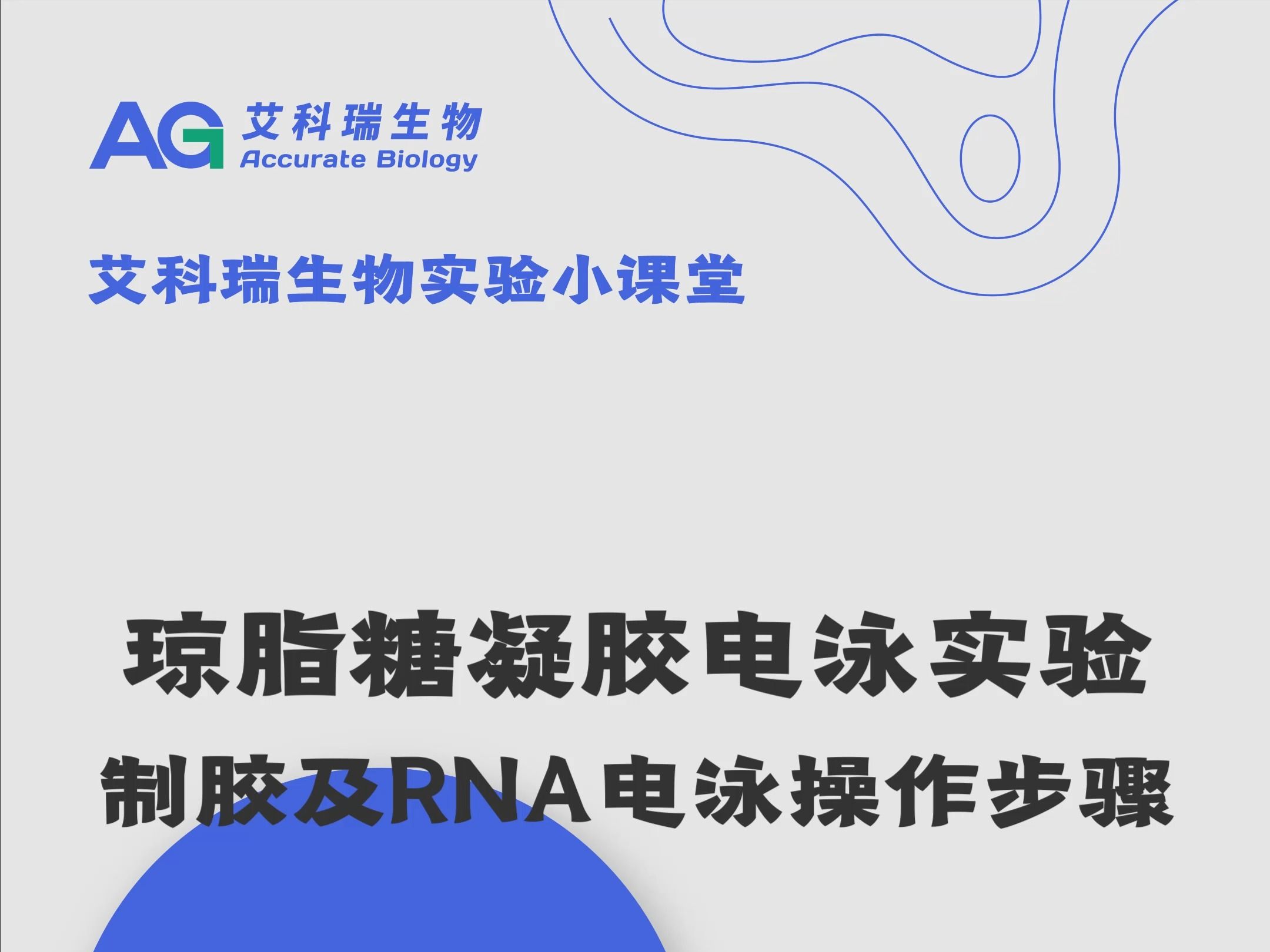 琼脂糖凝胶电泳实验制胶及 RNA 电泳操作步骤哔哩哔哩bilibili