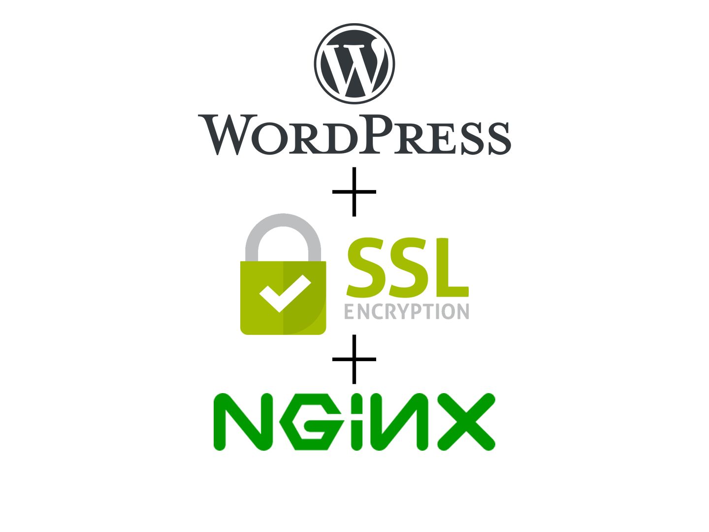 使用NGINX 搭建 SSL 加密的Wordpress 站点哔哩哔哩bilibili