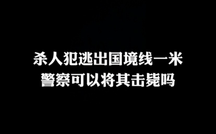 [图]杀人犯逃出国境线一米，警察可以将其击毙吗？