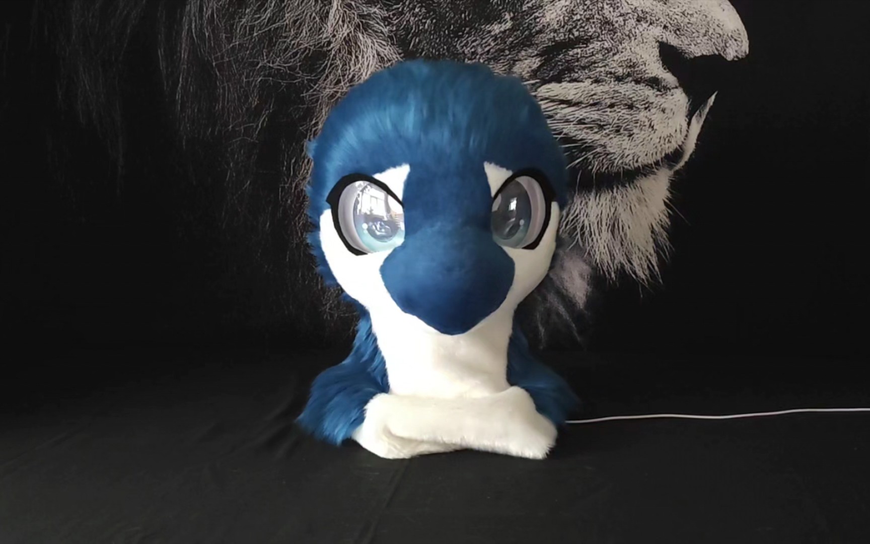 【fursuit獸裝】龍鳥——