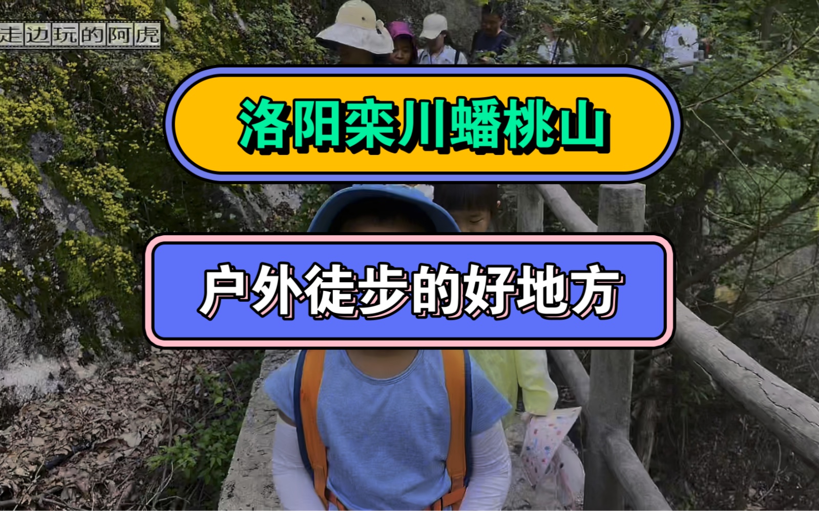 这里是栾川蟠桃山,有山有水不要门票,老少皆宜的徒步地!哔哩哔哩bilibili