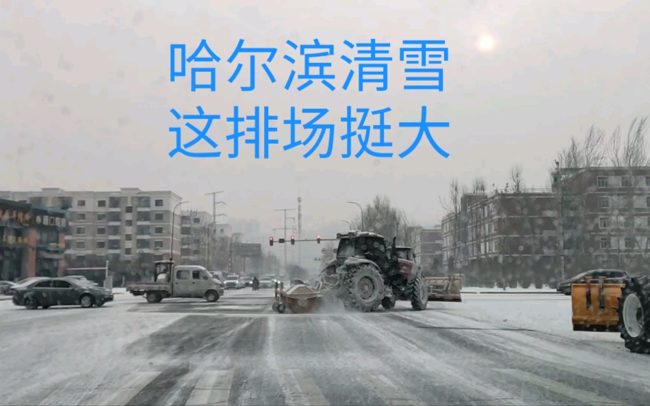 [图]豪横的清雪