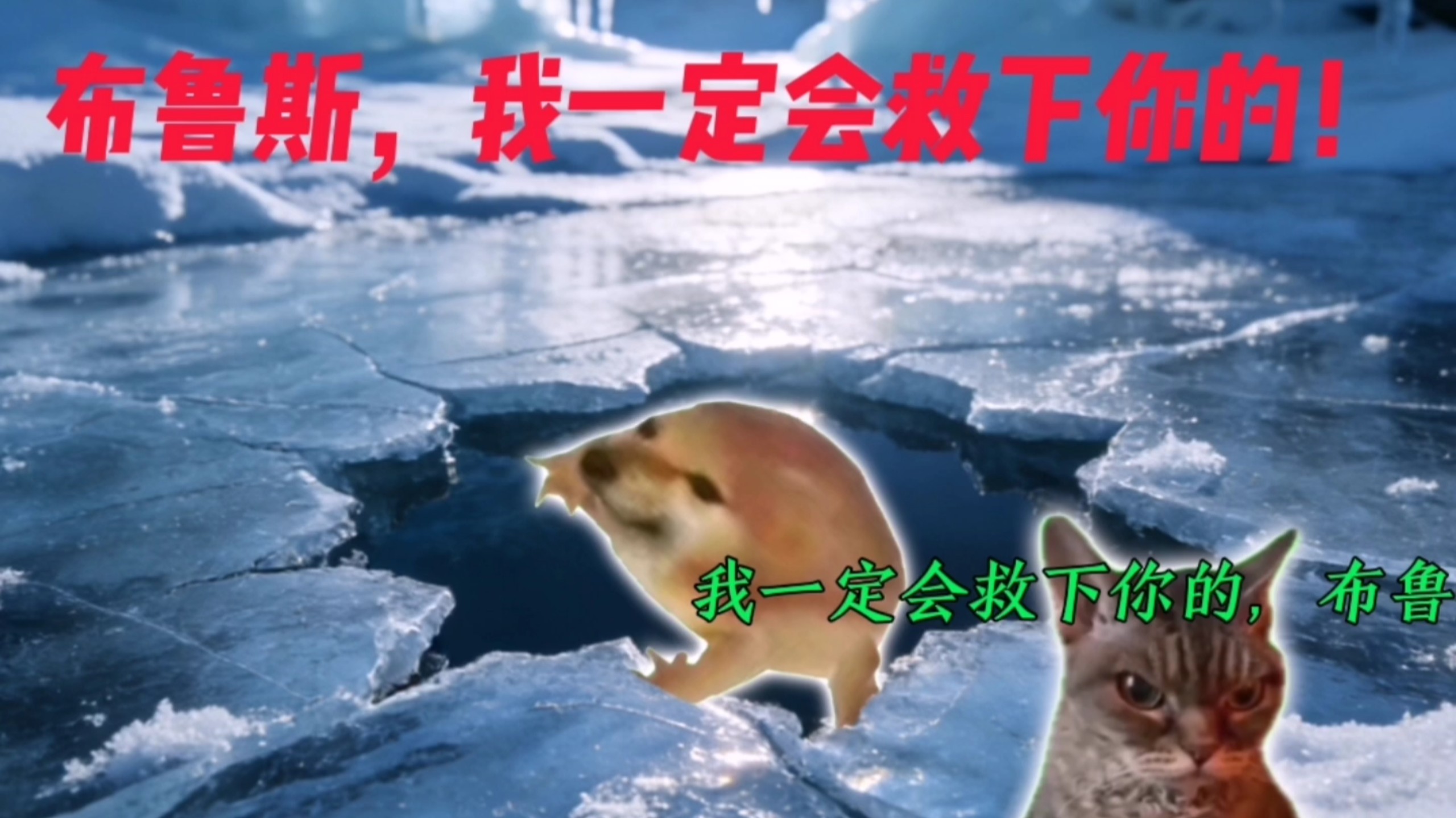 “布鲁斯，我一定会救下你的！”
