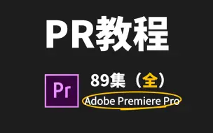 Download Video: PR教程新手入门（全）89集 2024实用版