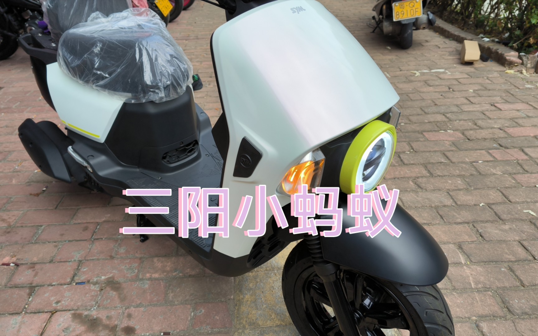 阳江看车,三阳蜂鸟小巧省油,小蚂蚁摩旅钓鱼佬,外观设计很好看