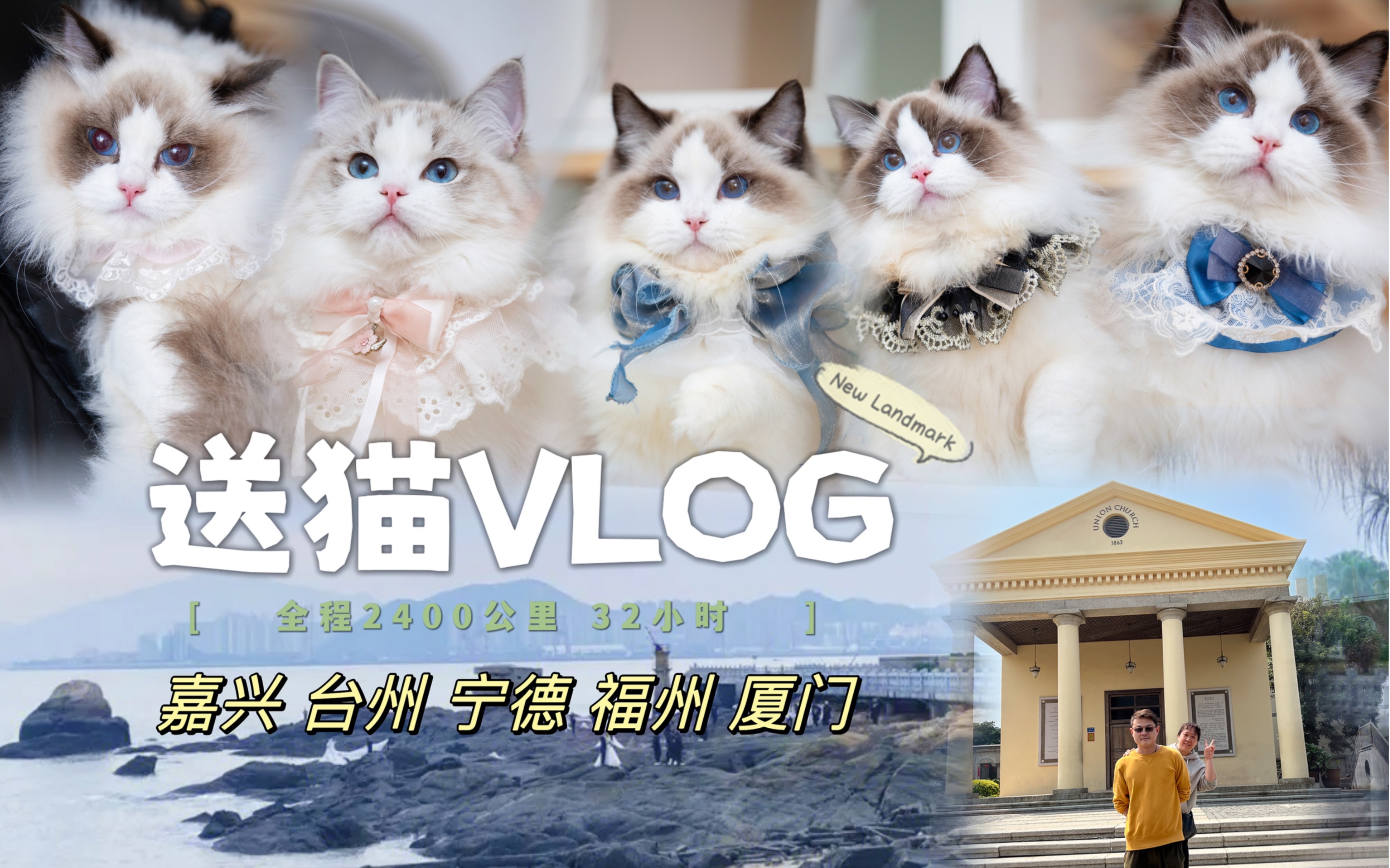 [图]送猫blog/厦门，鼓浪屿，我们来了