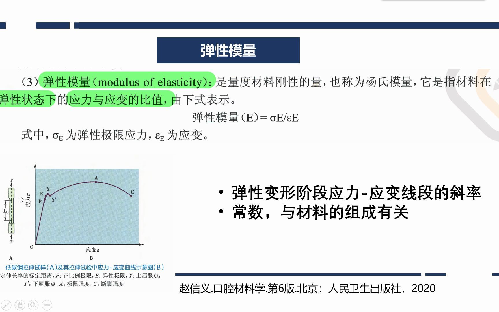 口腔医学生模糊知识点弹性模量哔哩哔哩bilibili