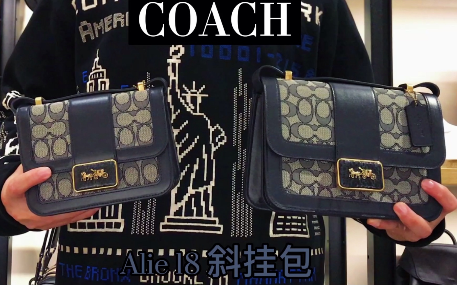 Coach Alie18 比较 Alie 实测容易大小哔哩哔哩bilibili