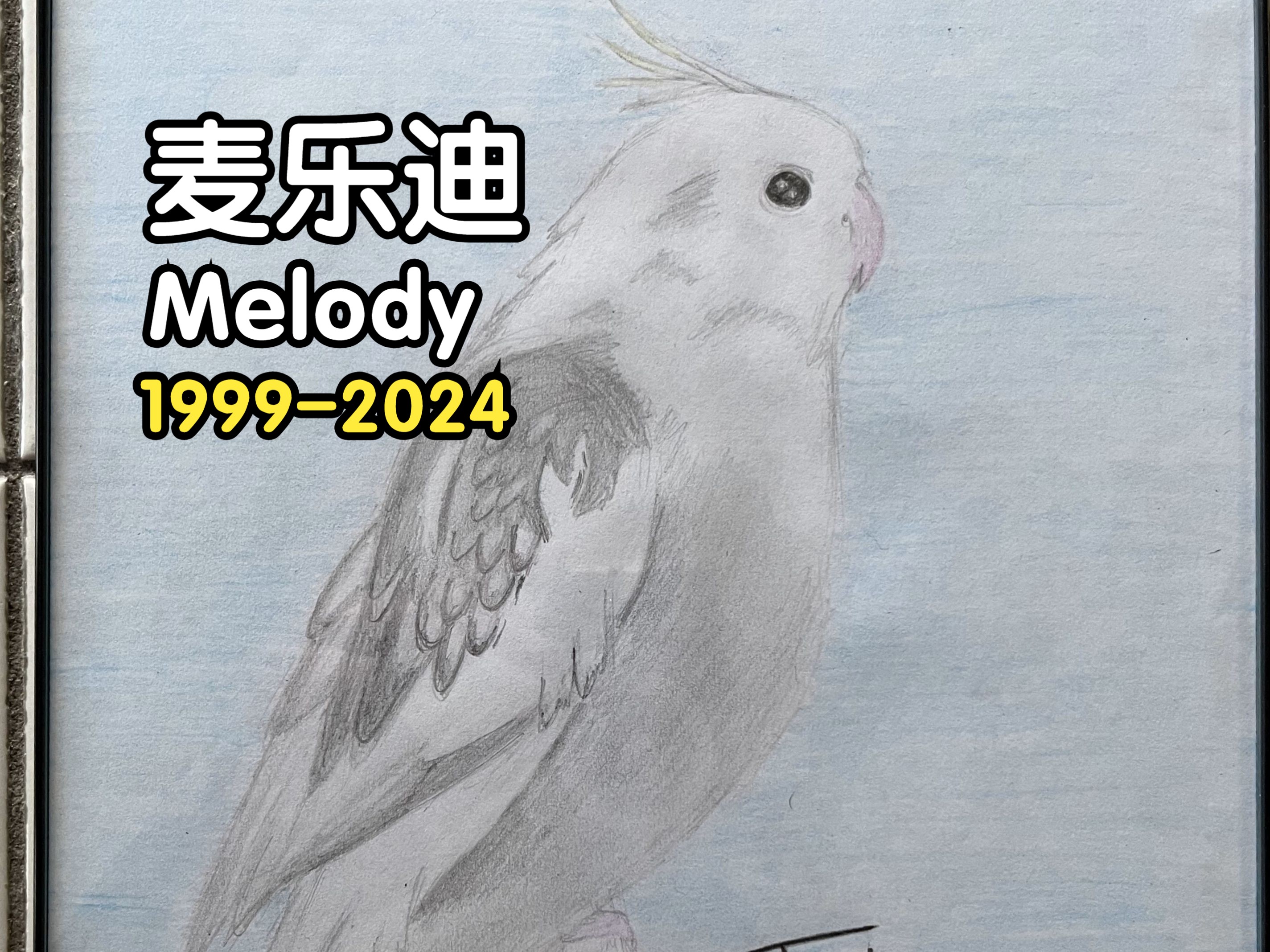 谨以此曲献给Melody麦乐迪(19992024)(巴赫平均律卷一第八前奏曲)哔哩哔哩bilibili