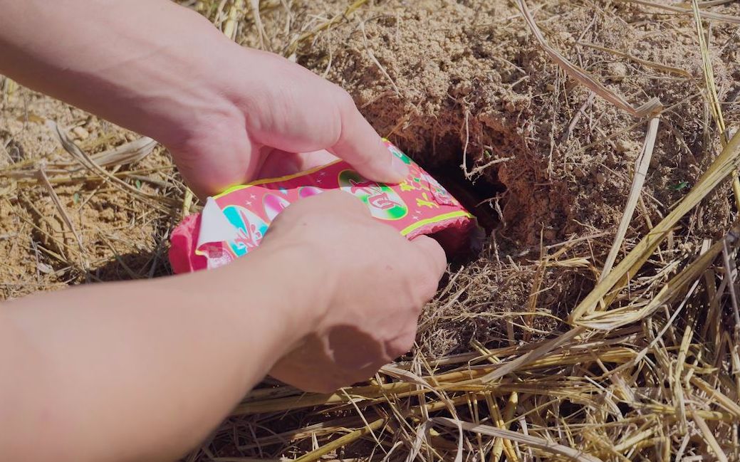 给爱搞破坏的老鼠来一串鞭炮试试试试效果如何