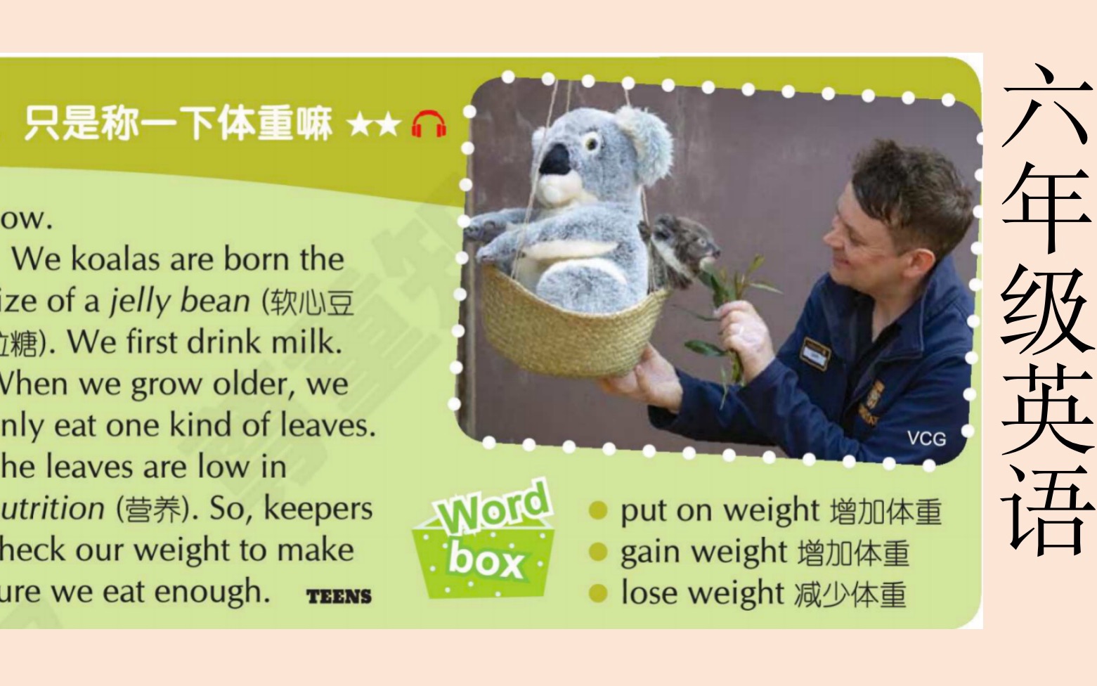 六年级小升初英语给考拉称体重21世纪英文报备考小升初day25