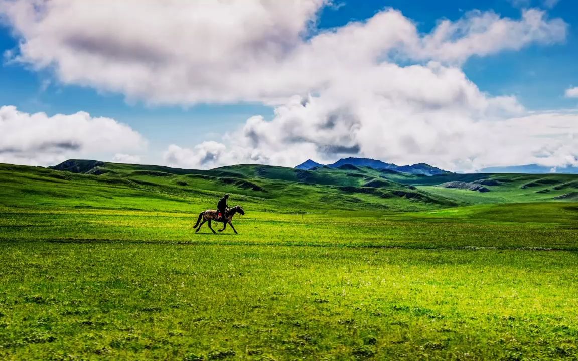 小阿枫 - 我只在乎你(正式版) 伴奏 定制 原版伴奏 高音质