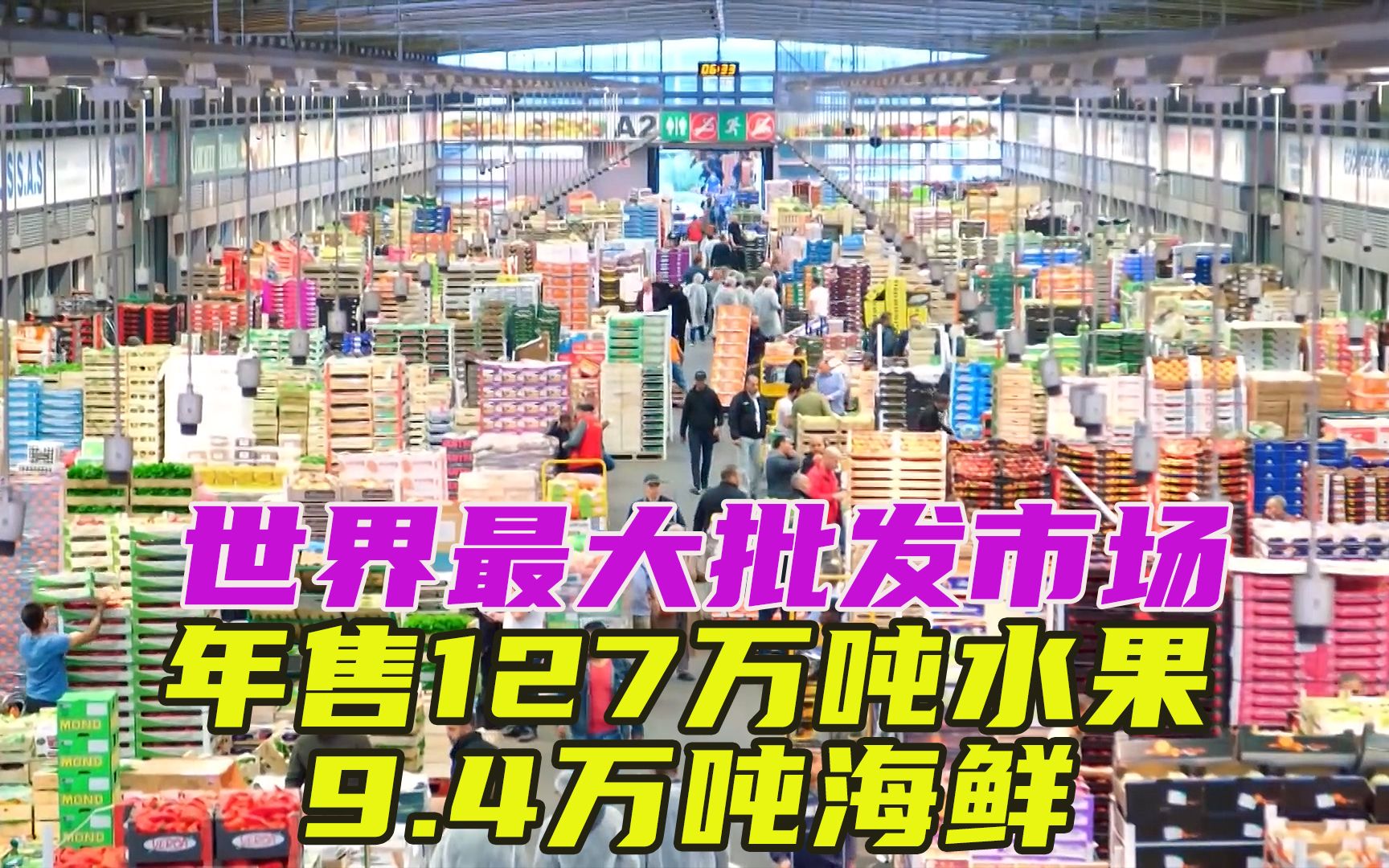 世界最大批发市场,17万人在此工作,年营业额100亿欧元哔哩哔哩bilibili