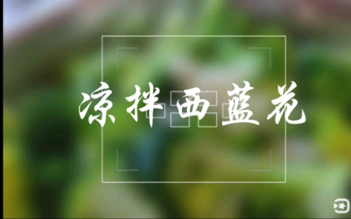 【凉拌西蓝花】哔哩哔哩bilibili