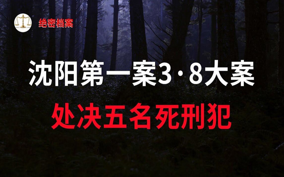 沈阳第一案3ⷸ大案,处决五名死刑犯,作恶四十多起穷凶极恶的歹徒  大案要案纪实录  绝密档案哔哩哔哩bilibili