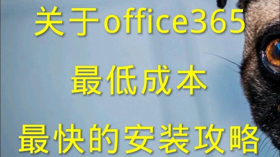 快速低成本的安装正版office365(附详细安装步骤和网址到评论区)哔哩哔哩bilibili