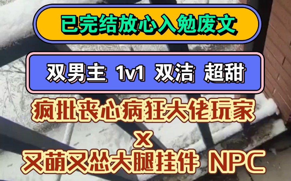 [图]《大佬的挂件》双男主 丧尸末世 双洁 1V1 超甜 NPC | 疯批丧心病狂大佬玩家x又萌又怂大腿挂件 NPC