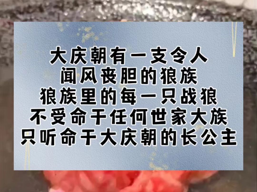 大庆朝有一支令人 闻风丧胆的狼族 狼族里的每一只战狼 不受命于任何世家大族 只听命于大庆朝的长公主哔哩哔哩bilibili