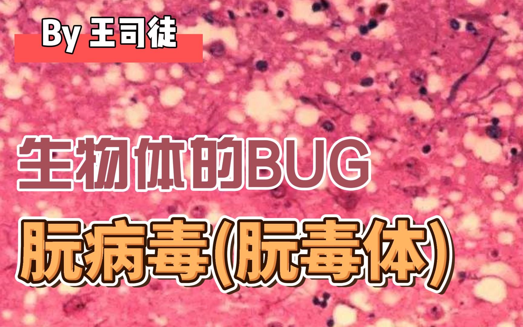 生物进化的bug——朊病毒(朊毒体)哔哩哔哩bilibili