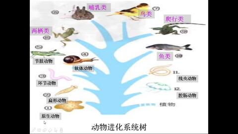 搜索 哔哩哔哩 つロ干杯 Bilibili