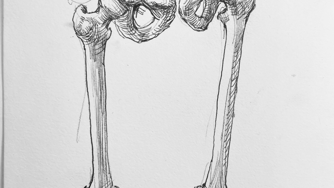 日常人体素描腿部练习