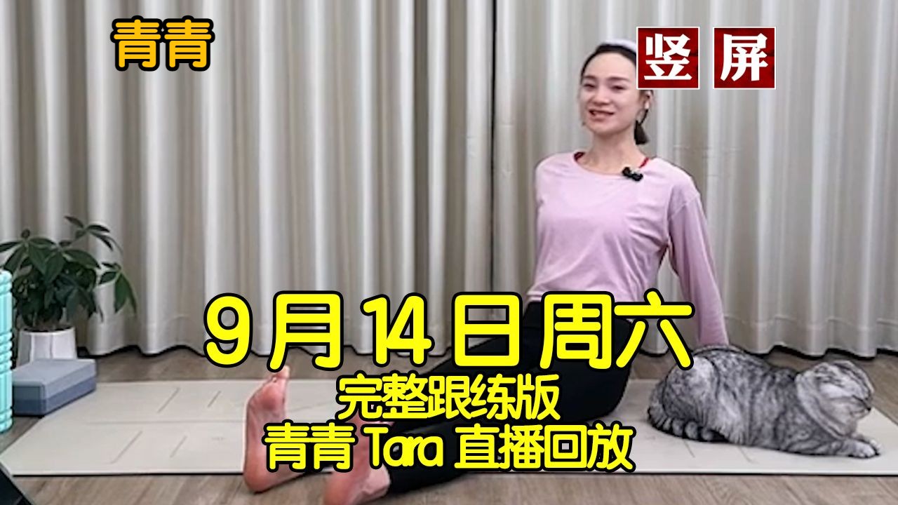 【晚间拉伸】2024年9月14日周六青青Tara直播回放录屏跟练完整版【竖屏】可投屏 晚间拉伸方式 狼牙棒放松 睡前瑜伽 90分钟睡前拉伸哔哩哔哩bilibili