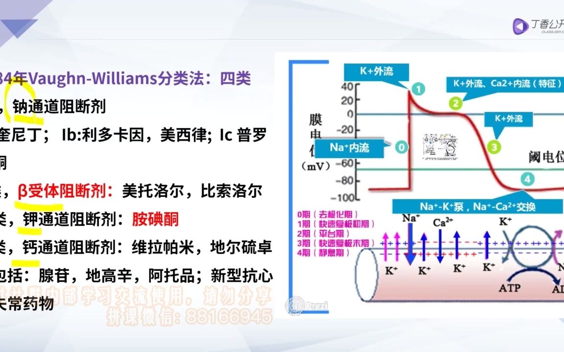 [图]20. 心律失常总论（02）