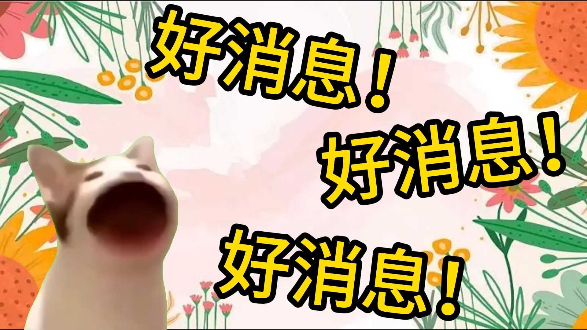 【通知】好消息!meme大喜利要开始啦!