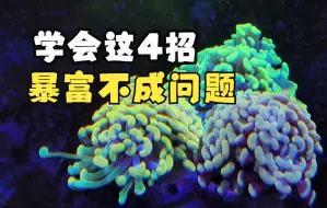 Download Video: 用好这4招，火柴分分钟爆头！