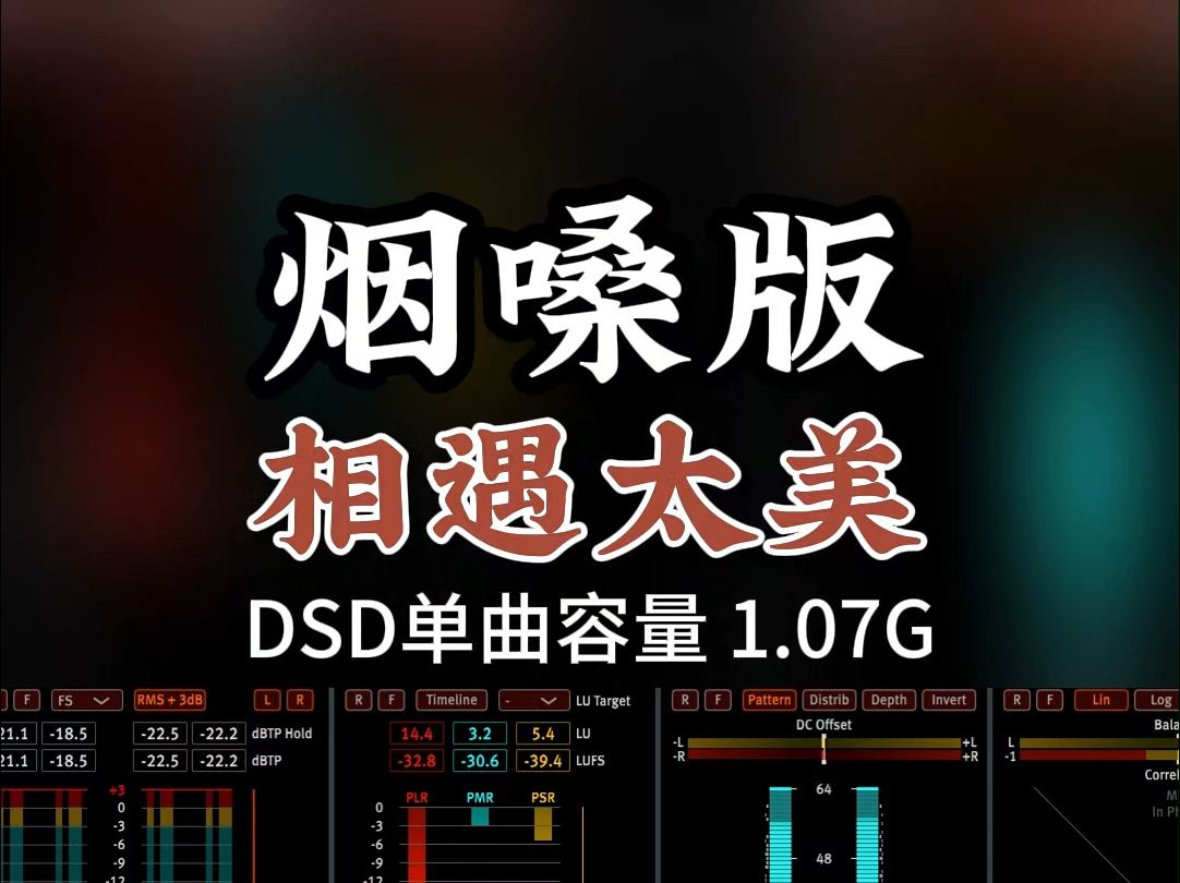 经典老歌新唱,极品烟嗓男声,《相遇太美》DSD完整版1.07G,百万调音师专业录音棚制作,顶级hifi无损音质哔哩哔哩bilibili