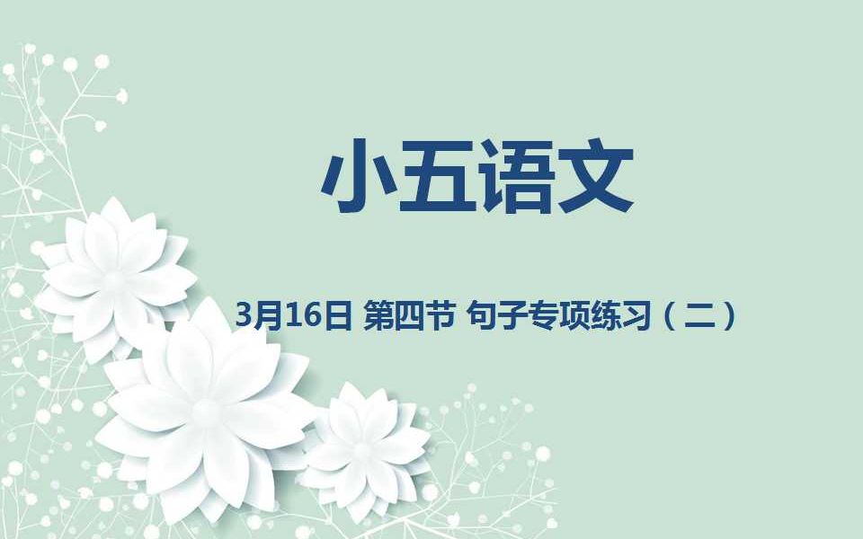 小五语文0316 第四节 句子专项练习(二)哔哩哔哩bilibili