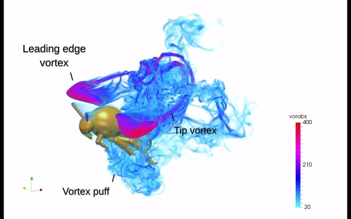 CFD详解蜜蜂飞行中的动力学!哔哩哔哩bilibili