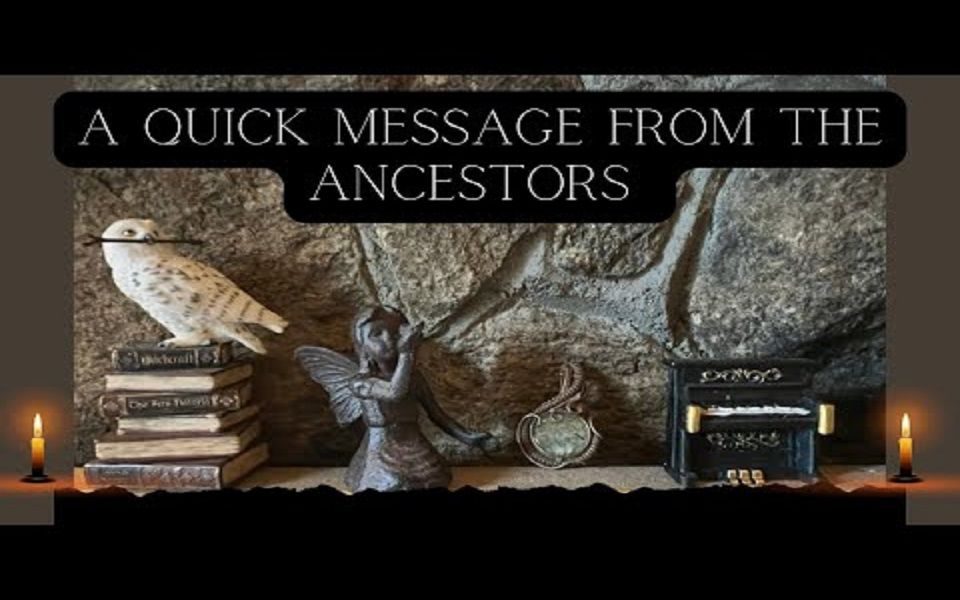 (CFT)来自祖先的简短传讯 ✨𐟤✨无时限选牌 QUICK MESSAGE FROM THE ANCESTORS哔哩哔哩bilibili