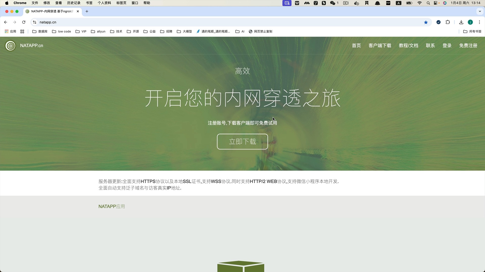 内网穿透-natapp