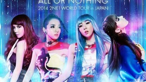 2NE1演唱会丨2014 WORLD TOUR ALL OR NOTHING In JAPAN_哔哩哔哩_bilibili