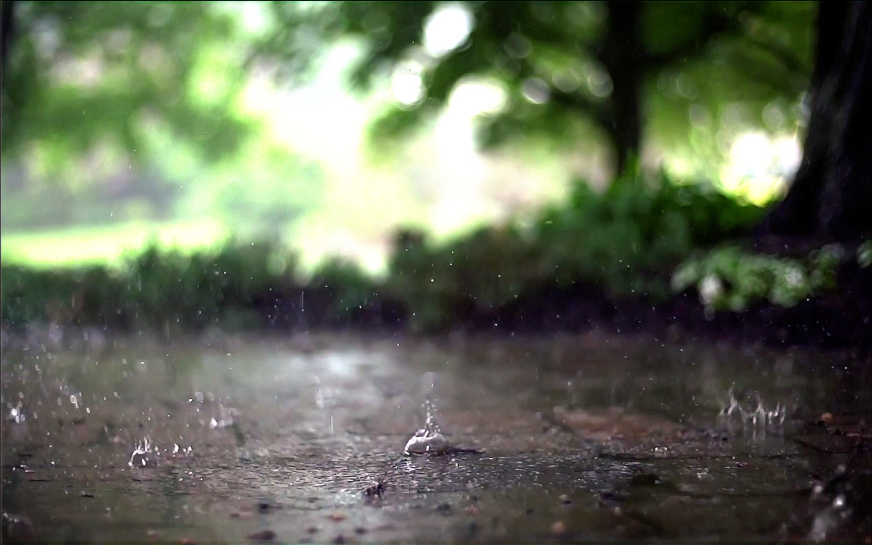 [图]30分钟：雨滴录像慢放