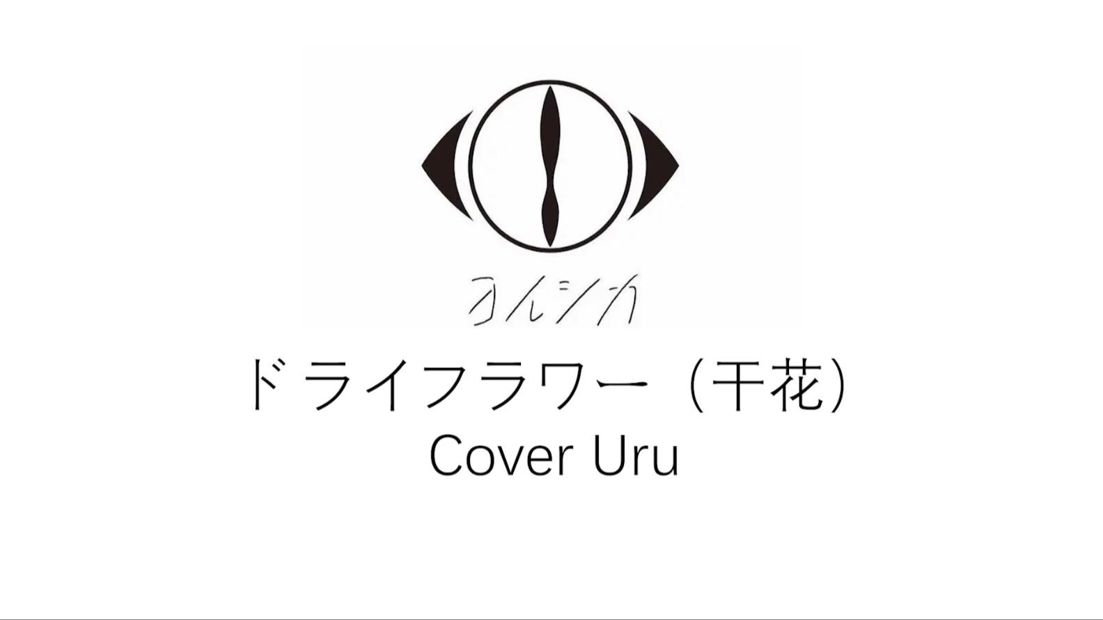 ai suis - ドライフラワー / 干花