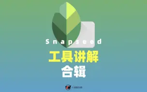 Download Video: 【 Snapseed 工具讲解】手机修图软件 snapseed 28+2 个工具篇新手上手系列教程（全）