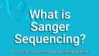 什么是Sanger 测序？